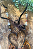 Heart of the Wanderer Necklace - Handmade